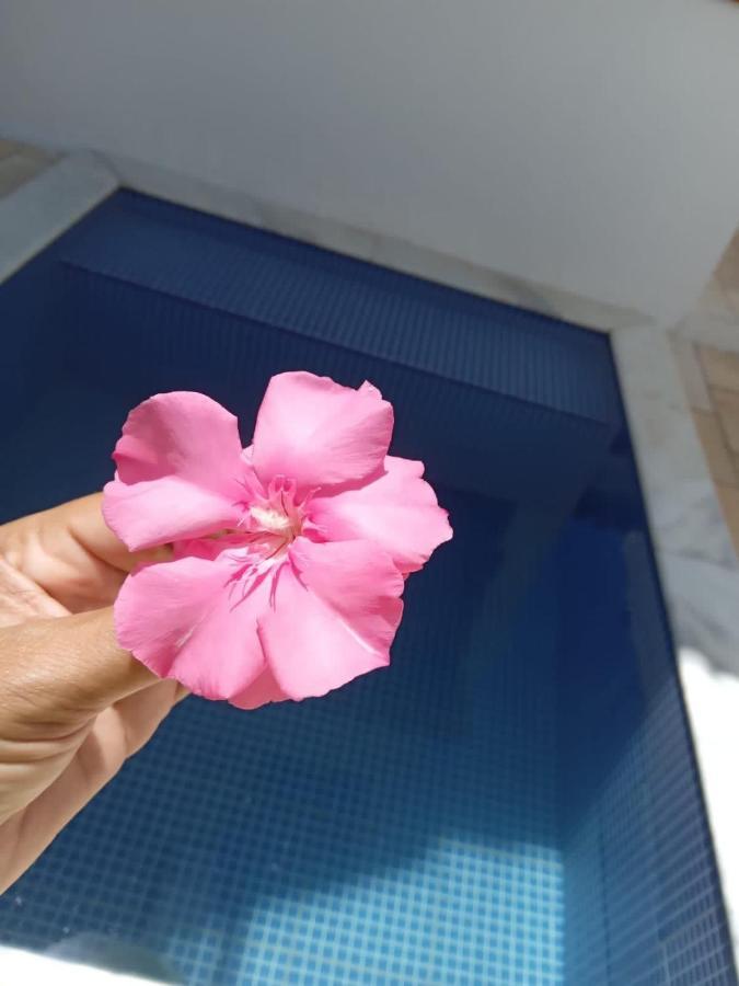 Tamandare Residence מראה חיצוני תמונה